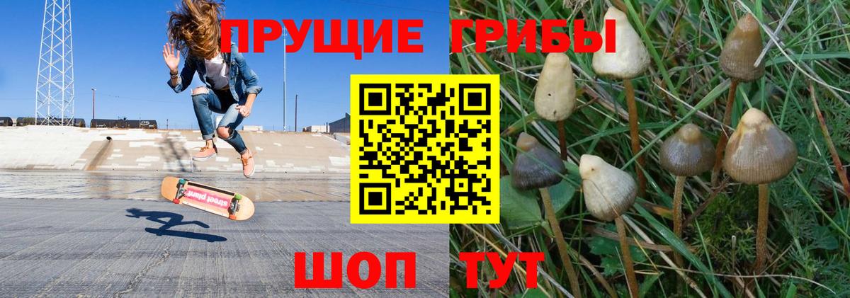 Лангепас  цены наркотик  Вход с VPN  Псилоцибиновые грибы Psilocybe  Галлюциногенные грибы Psilocybe 